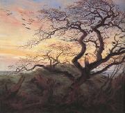 Caspar David Friedrich Tree with Crows (mk10) oil painting reproduction